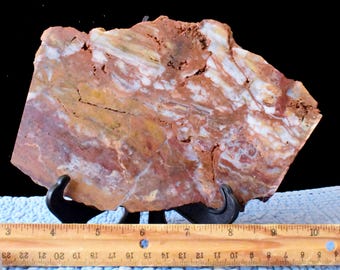 JaspAgate Slabs: Choice of 7 * TOP Crazy Colors * Cabbing Display Jewelry Making Crafts Lapidary * CA