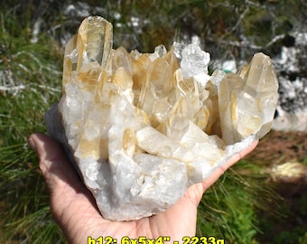 CITRINE Clusters Brazil: 4-6" Size * Choice of 20 * November Birthstone * Druzy Orange Crystal Specimens
