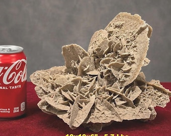 HUGE Selenite DESERT ROSE Cluster Mexico * 10x10x6" - 5.7 Lbs * Freestanding Extra Large Prospectors Ears Mineral Specimen