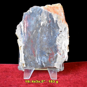 AGATIZED PETRIFIED Wood Slabs: species Palmoxylon (Palm) * Free Stand *  Choice of 10 * Cabbing, Lapidary Display Gift * Boron, California