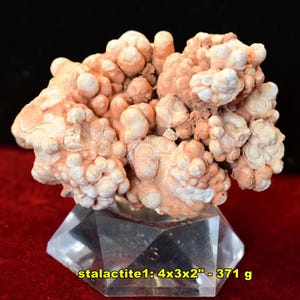 10 Fossil SPECIMENS * Choose EXACT Identified Fossil Pictured * Incl Brachiopods Stalagtite Clams Mystery Fossils * From U.S.