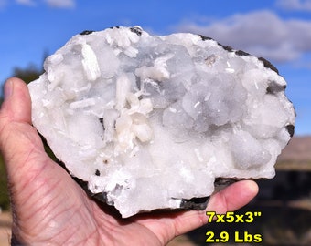 Large APOPHYLLITE w/ STILBITE Crystal Mineral Specimen in Matrix from Deccan Trap, India * Large Cabinet Size 7x5x3" * Natural Color Zeolite