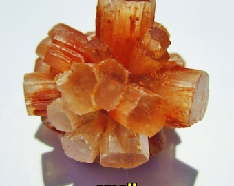 Pink ARAGONITE ROSES Morocco: Natural Crystal Clusters, Choice of 1" or 2" Sizes * Bulk Wholesale Discount