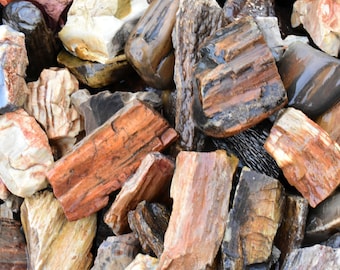 PETRIFIED WOOD Tumbling Rough * Natural Raw Fossil Stones for Tumbling Cutting Jewelry Wire Wrap Gifts Display * U.S.A.  Bulk Wholesale