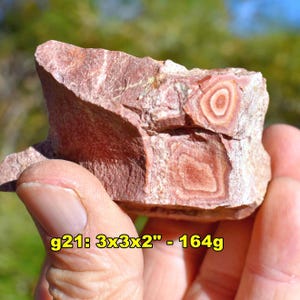 May include: A rough, reddish-brown rock specimen featuring distinct concentric circular and square-shaped banding patterns in lighter shades. The stone is labeled g21: 3x3x2 inches - 164g, indicating its physical dimensions and weight.