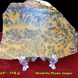 20 FAVE Mineral Specimens: incl Pyrolusite Tigereye Turritella Prehnite Amethyst Chalcedony Travertine Jasper 5: Plume Jasper