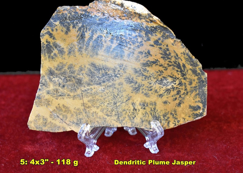20 FAVE Mineral Specimens: incl Pyrolusite Tigereye Turritella Prehnite Amethyst Chalcedony Travertine Jasper 5: Plume Jasper
