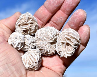 Selenite DESERT ROSES: Natural Gypsum Rosettes from Mexico