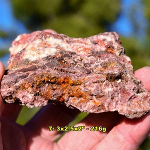 May include: A rough, multi-colored mineral specimen featuring deep red, brown, and white crystalline textures with orange inclusions. The rock is labeled with the text 7: 3x2.5x2" - 216g, indicating its dimensions in inches and weight in grams.