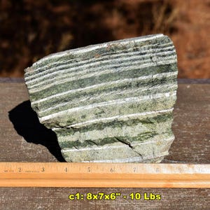 May include: A green and white banded rock specimen featuring distinct horizontal layers of varying shades of green and white mineral deposits. A wooden ruler is positioned in front, showing the rock measures approximately 8 inches in length.