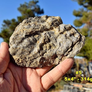 May include: A rough, textured rock held in a hand. The rock is primarily gray and brown with a weathered appearance. The text on the image reads "#5 5x4" - 314g".