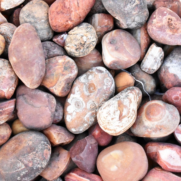 BULK AGATE Rough * 1-2" Size * Top Tumbling Rough * River Worn Natural Geode Nodule from Brazil