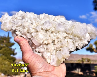 Extra Large APOPHYLLITE Crystal Mineral Specimen from Deccan Trap, India * Large Cabinet Size 10x6x5" * Natural Color * assoc w/ Zeolite