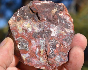 California MINERAL SPECIMENS: Choice of 20 Rocks, Crystals & Fossils * Quartz, Jasper, Agate, Obsidian, Desert Rose ...