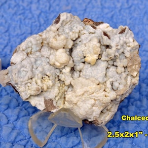 May include: A light-colored Chalcedony specimen with a textured, bubbly surface, displayed on a clear stand. A white die with black dots is next to the rock. The specimen is approximately 2.5 x 2 x 1 inches and weighs 100 grams.