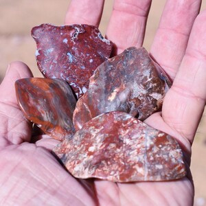 Tumbled PETRIFIED PALM Wood * 1-3&quot; Excellent Polish * Palm Tree Fossil from California * Wire Wrap Jewelry Making Beads