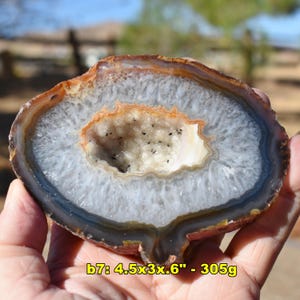 May include: A polished agate slice featuring concentric bands of brown, gray, and white surrounding a central crystalline geode cavity with small black inclusions. The specimen is labeled b7: 4.5x3.6 inches - 305g, showing its physical dimensions and weight.