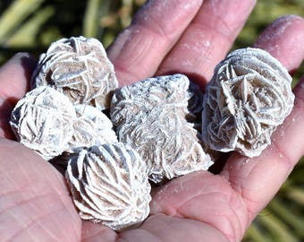Bulk DESERT ROSES * Natural Selenite Gypsum Crystal Mineral Stones * Choice of 1/2 or 1&quot; Sizes * Mexico