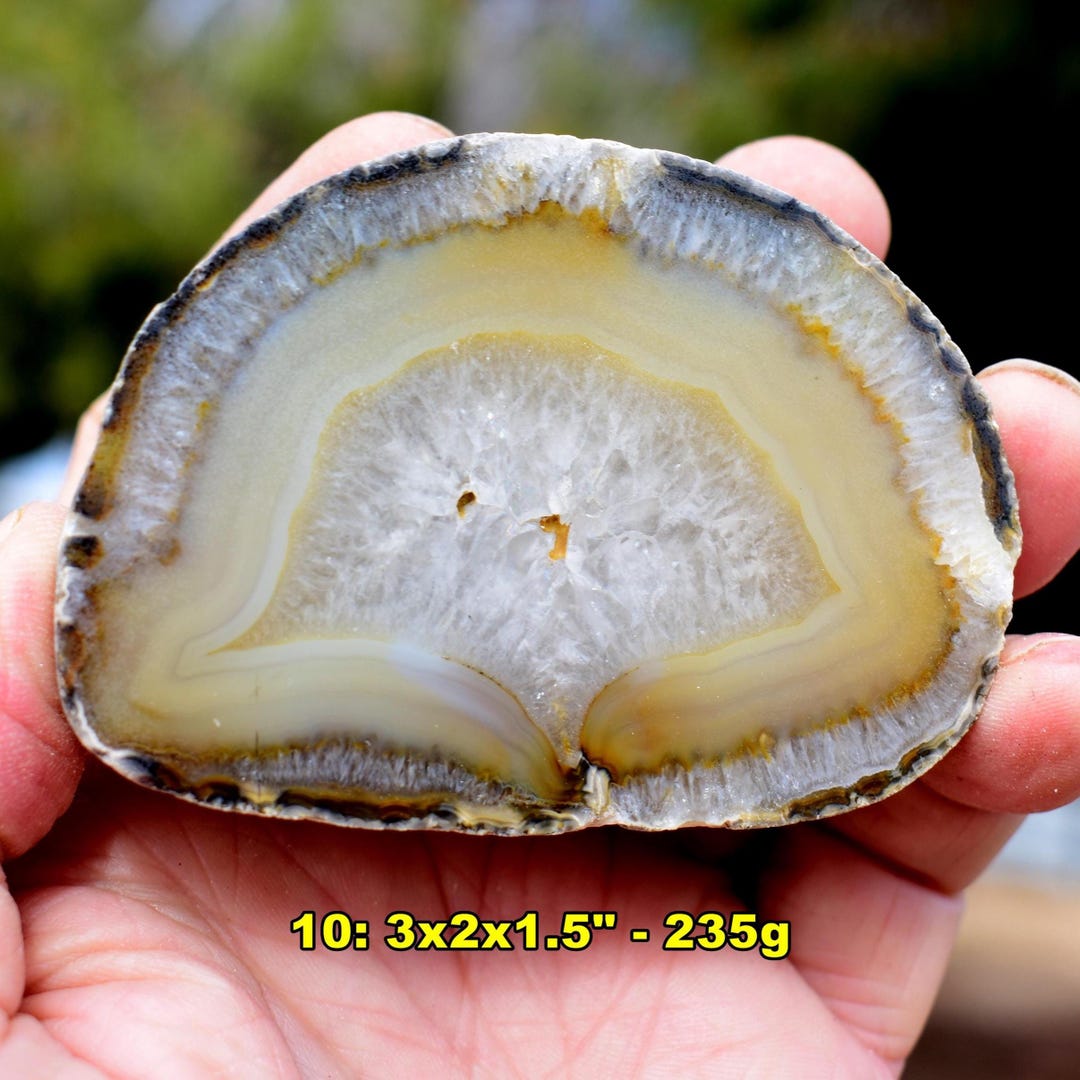 Brazil GEODES: Choice of 5 * Cut Polished Agate Quartz Crystal Nodules ...