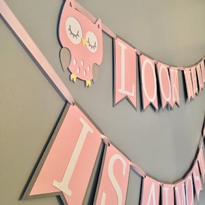 Owl baby shower, it's a girl, owl baby shower decorations, owl decor, baby girl, baby boy, baby shower, baby shower decorations, owl banner