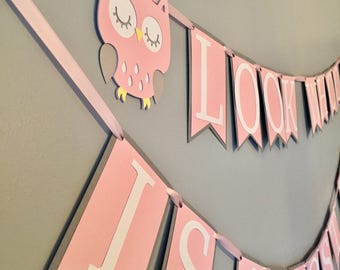 Owl baby shower, it's a girl, owl baby shower decorations, owl decor, baby girl, baby boy, baby shower, baby shower decorations, owl banner