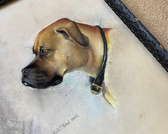 Signed Original CHARCOAL Pastels BOXER Mix Portrait Sketch Art Childs ILLUSTRATION Drawing Vintage Ruth Sneed Tan Brown Dog Gallery Wall