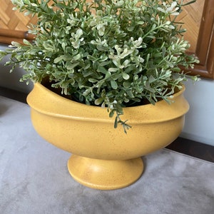 Puede incluir: Un macetero de cerámica amarillo con una base ancha y redondeada y un acabado moteado. El macetero está lleno de una planta verde de hojas.