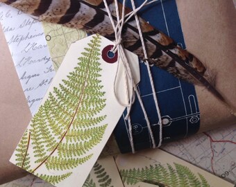 Fern gift tags (set of 6)