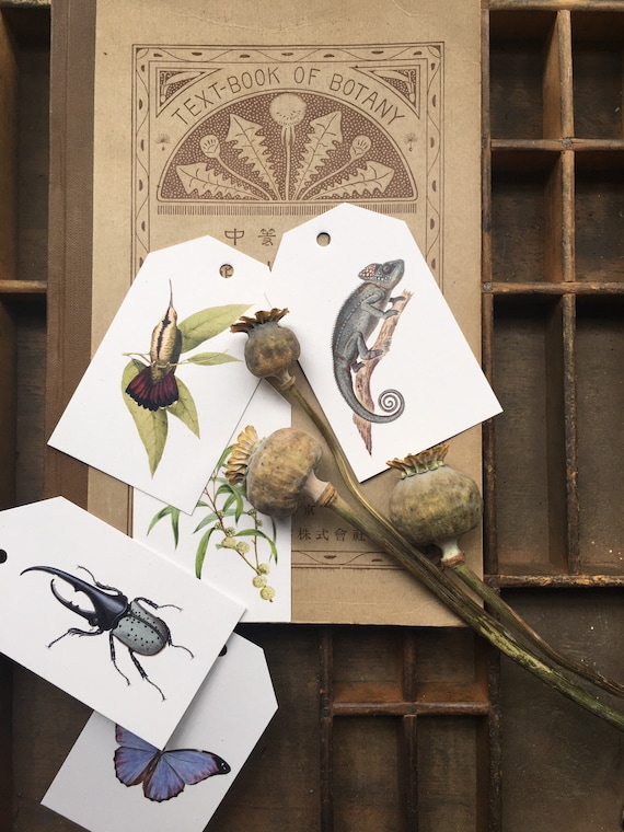 Marvels of Nature’ gift tag packs...