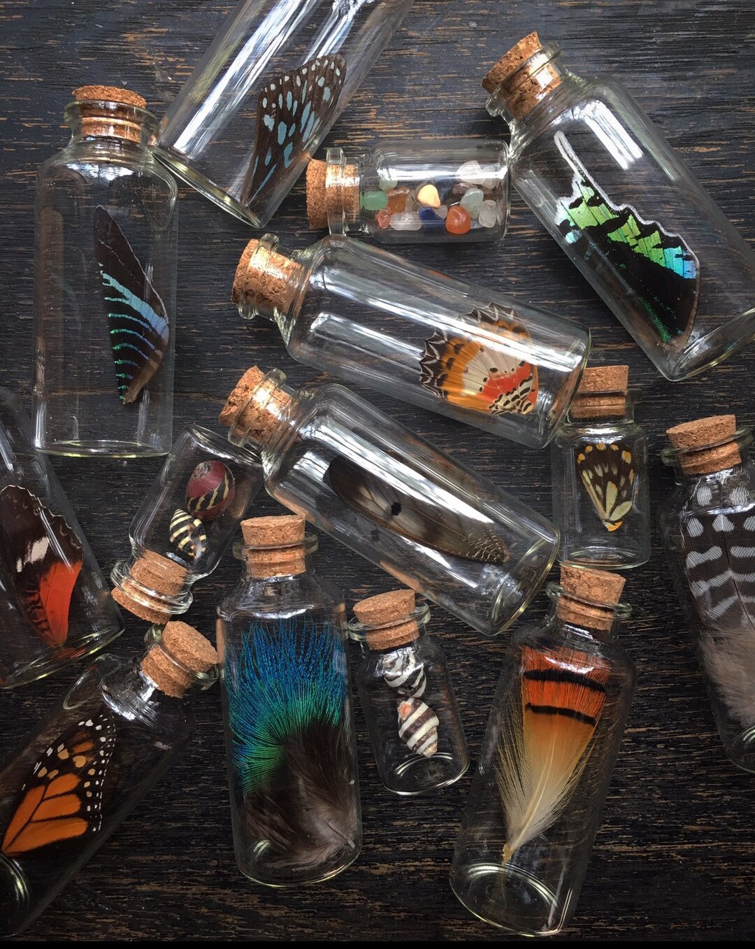 Tiny Collections - Etsy Australia