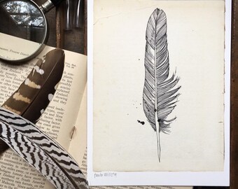 Field trip -Feather art print by Paula Mills