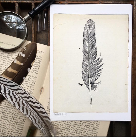 Field trip -Feather art print by Paula Mills