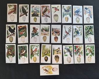 Vintage Tea Trading Cards- Lamberts of Norwich-Birds And Their Egg-Full Set 0f 25-1961