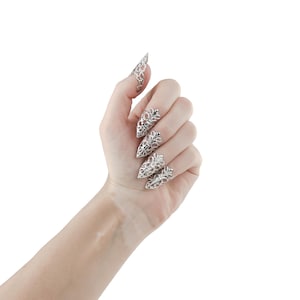 Puede incluir: Una mano con anillos de u&ntilde;as puntiagudos, adornados con plata. Los anillos est&aacute;n decorados con un delicado dise&ntilde;o floral.