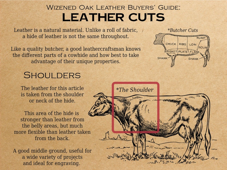 A diagram explaining this articles is made from leather taken from the shoulder area of the hide. This kind of leather is not as stiff as leather from the rear haunches, nor as supple as leather taken from the belly.