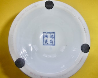 BLUE WHITE VASE Chinese Dechang Taoci Butterflies Birds