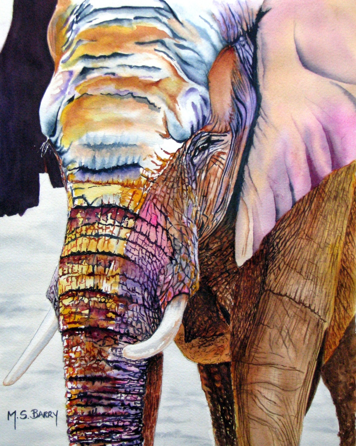 Tuskless African Female Elephant Poster by Amy E Fraser - Amy E Fraser, image size:1199x1500