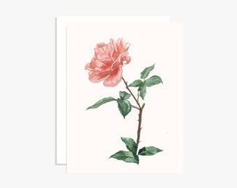 Watercolor Rose Greeting Card - Everyday Card - Blank Card - Thank You Card - Just Because Card - Friendship Card