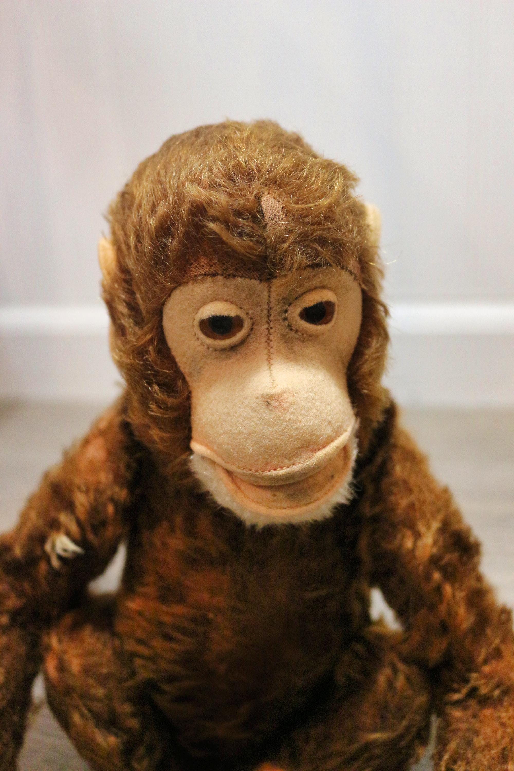 Steiff Us Zone - Etsy