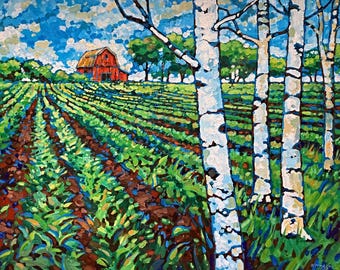Barn and Birches (Fine Art Print)