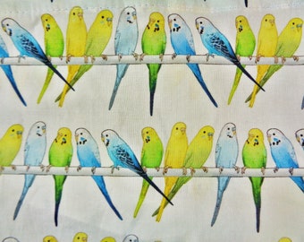 LARGE Bird CAGE "Budgies on a Bar"