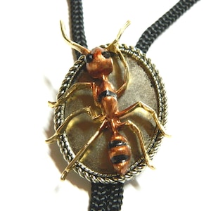 Ant Bolo Tie, golden brown emmet, wedding men&#39;s fashion jewelry, birthday gift woman, honeymoon surprise, bootlace bola, shoestring necktie