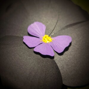 Black Pansy Gift Tag image 7