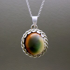 Cat's eye shell jewelry deals