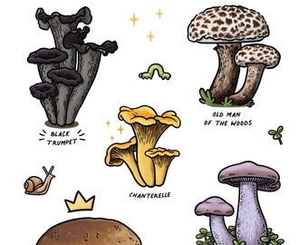 Edible Mushrooms of New England Sticker Sheet