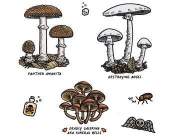 Poisonous Mushrooms Sticker Sheet