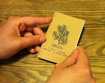 Gatherer: A Pocket Foraging Guide by Isabella Rotman