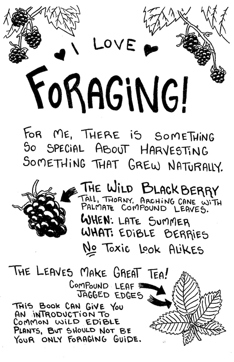 Gatherer: A Pocket Foraging Guide by Isabella Rotman image 3