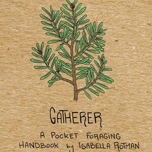 Gatherer: A Pocket Foraging Guide by Isabella Rotman image 2