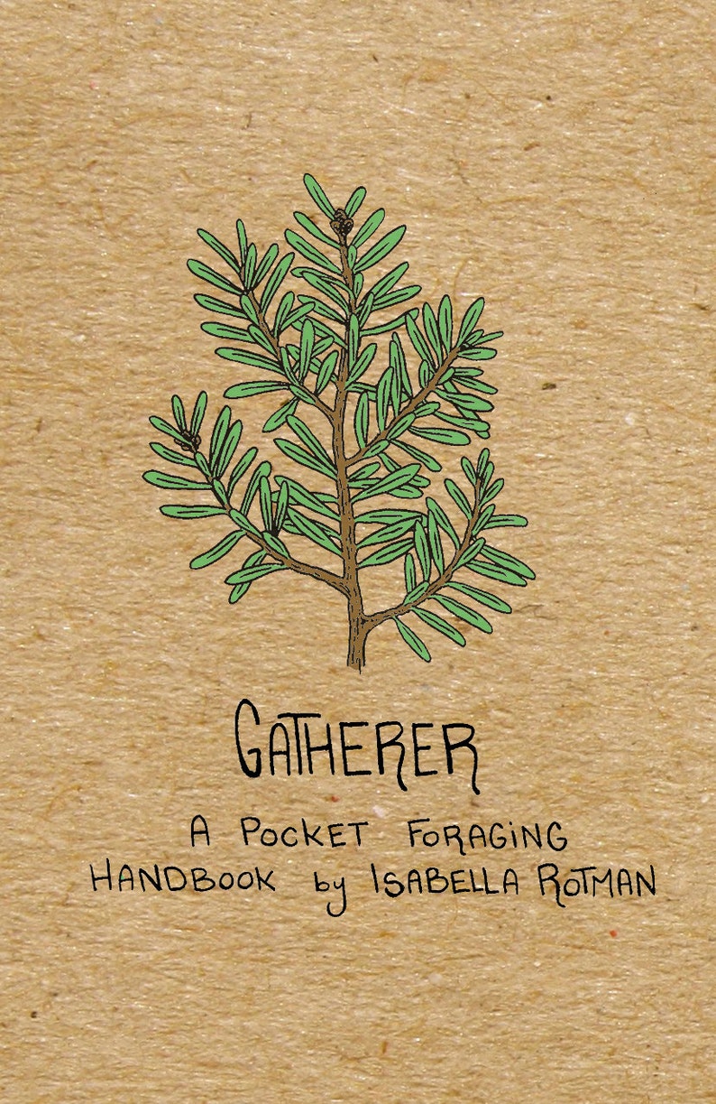Gatherer: A Pocket Foraging Guide by Isabella Rotman image 2